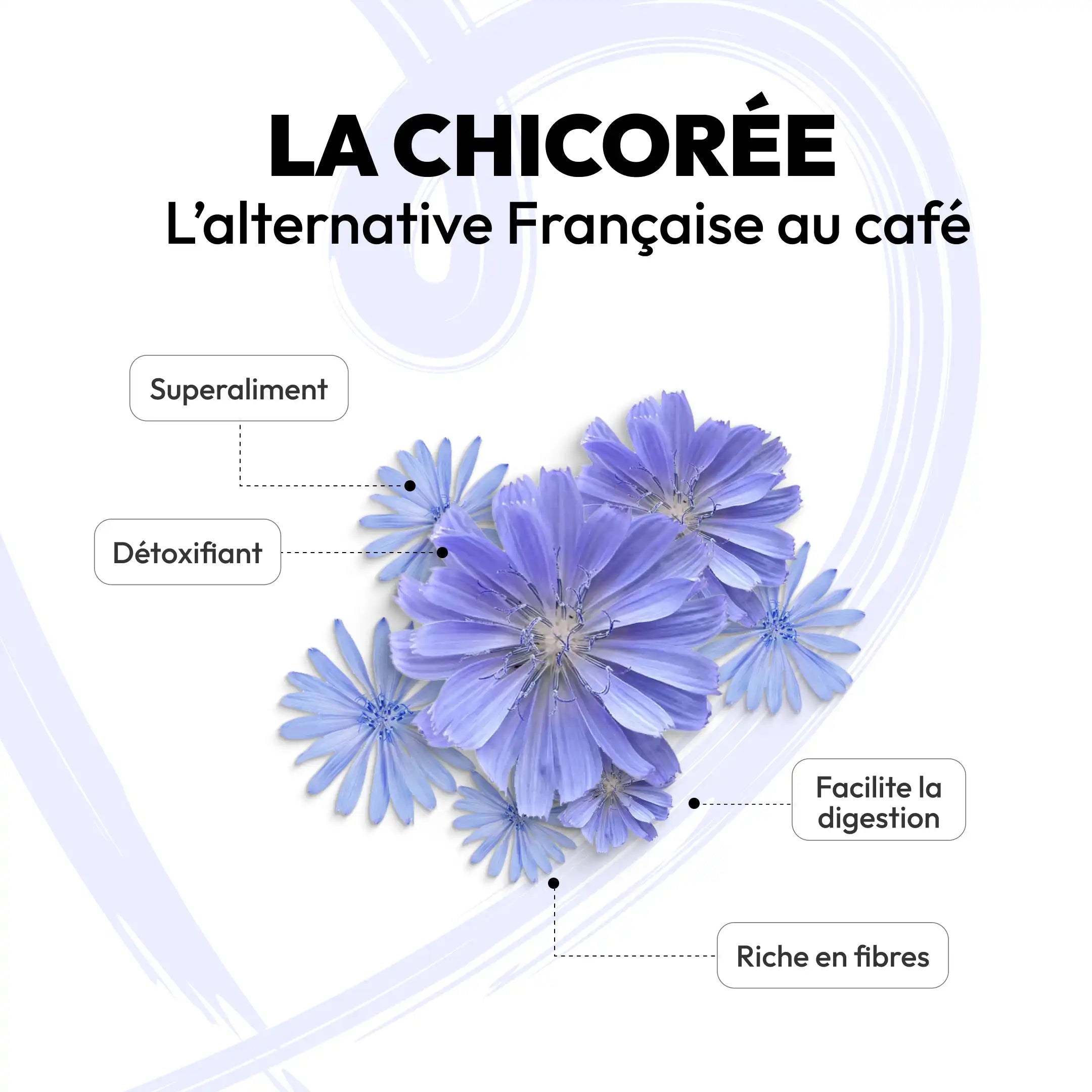 Caps Me-les well made of specialty chicory for reusable capsules capsme.webp
