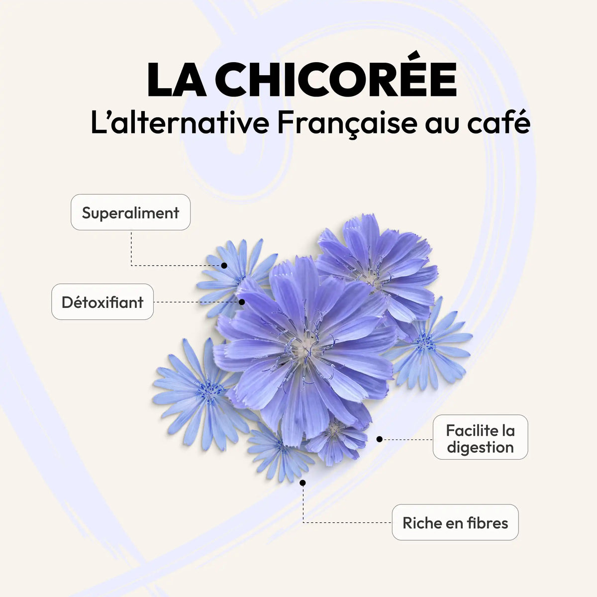 Caps Me-les bien faits de la chicoree de specialite pour capsules reutilisables.webp